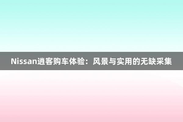 Nissan逍客购车体验：风景与实用的无缺采集